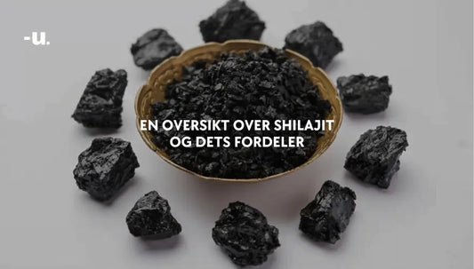 En oversikt over Shilajit og dets fordeler