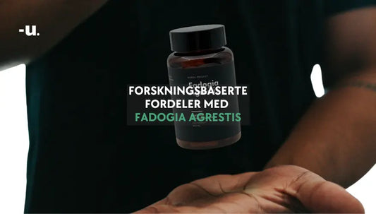 Forskningsbaserte fordeler med Fadogia Agrestis