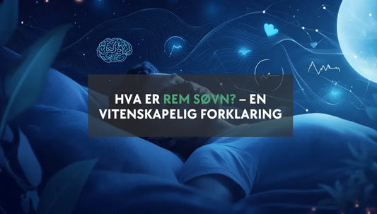 Hva er REM søvn - Blogginnlegg
