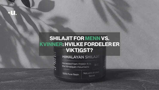 Shilajit for menn vs kvinner featured image