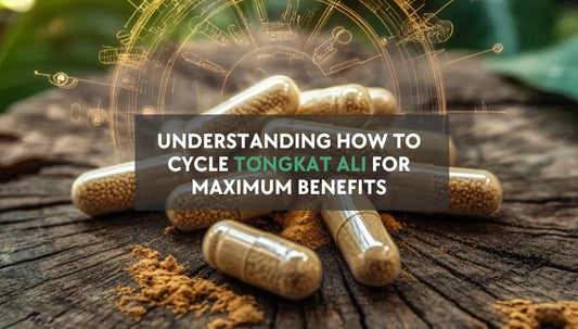 featured image for understanding how to cycle Tongkat Ali for maximum benefits