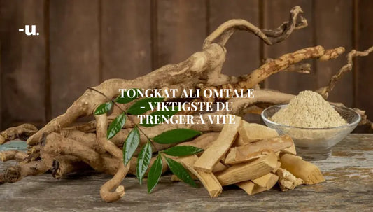 Banner: Tongkat Ali omtale - Viktigste du trenger å vite