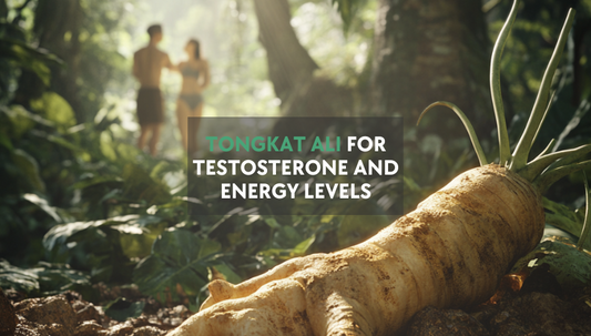 Tongkat ali for testosterone and energy levels blog header