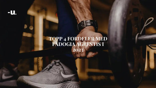 Topp 4 fordeler med Fadogia Agrestis i 2024