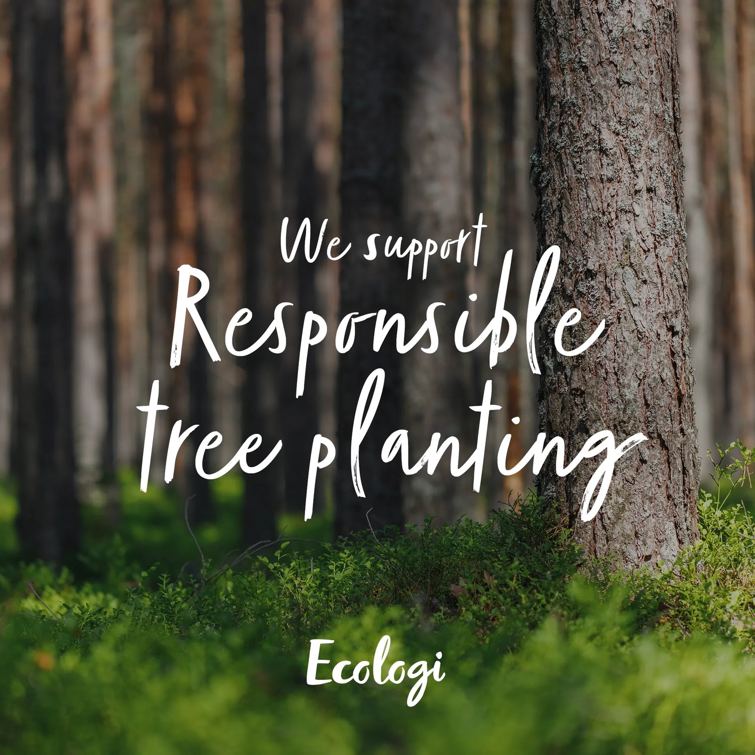 We Support Responsible tree planting
