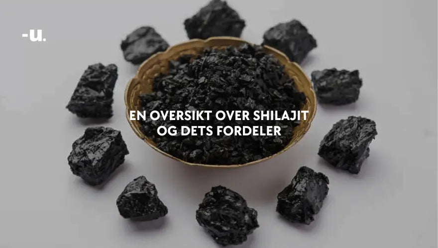 En oversikt over Shilajit og dets fordeler