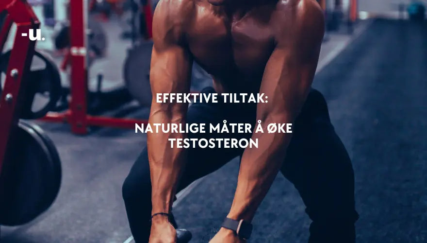 Naturlig måte å øke testosteron på