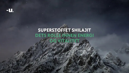 Superstoffet Shilajit: Dets rolle innen energi og vitalitet