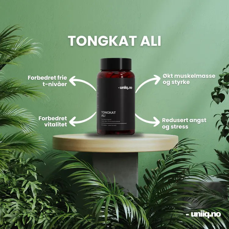 Tongkat Ali fordeler